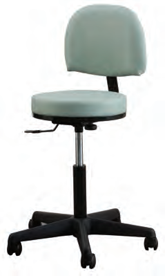 Premium Stool with Backrest